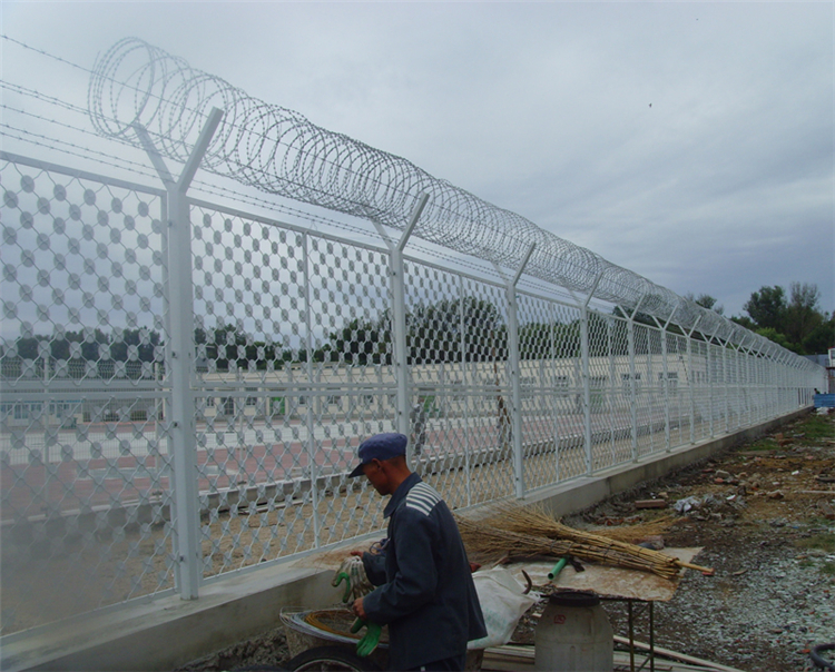 監獄梅花刺隔離網圖片1 監獄梅花刺隔離網圖片1