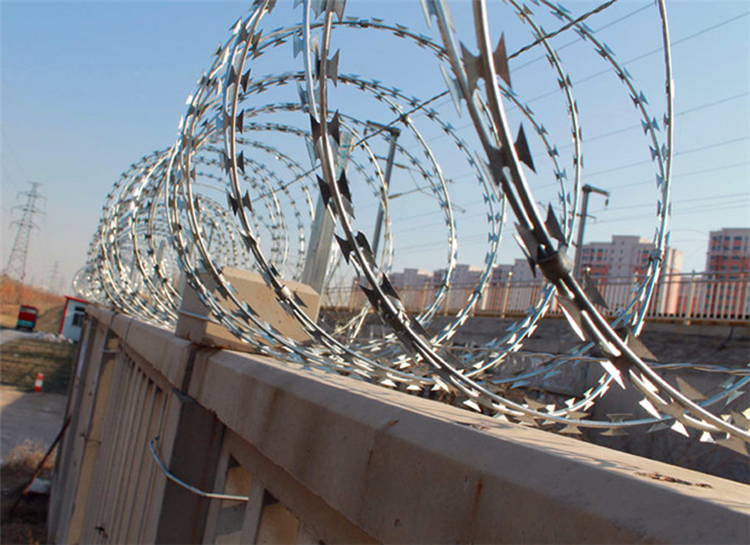 河南刺絲滾籠圖片2 河南刺絲滾籠圖片2