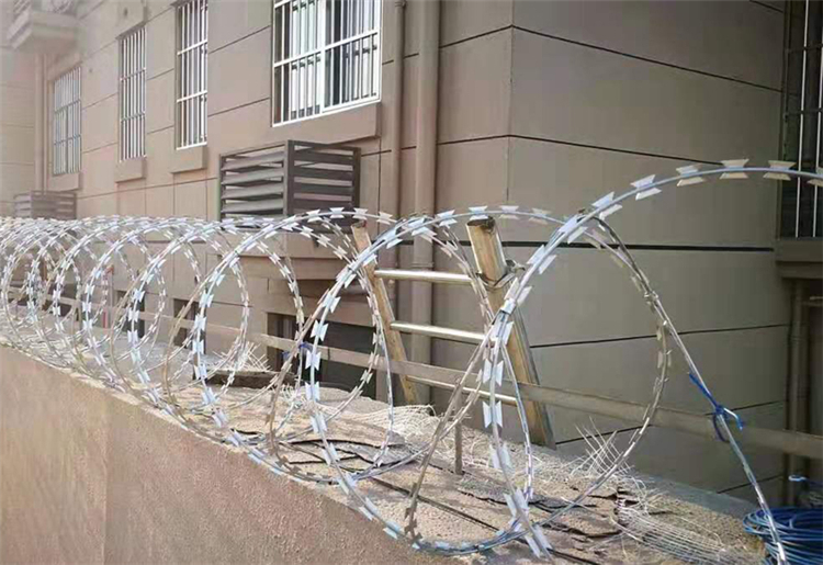 河南刺絲滾籠圖片3 河南刺絲滾籠圖片3