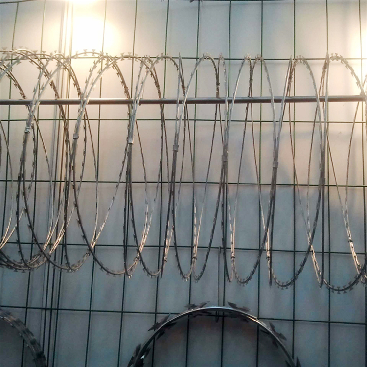 江蘇圍墻刀片刺繩圖片2 江蘇圍墻刀片刺繩圖片2