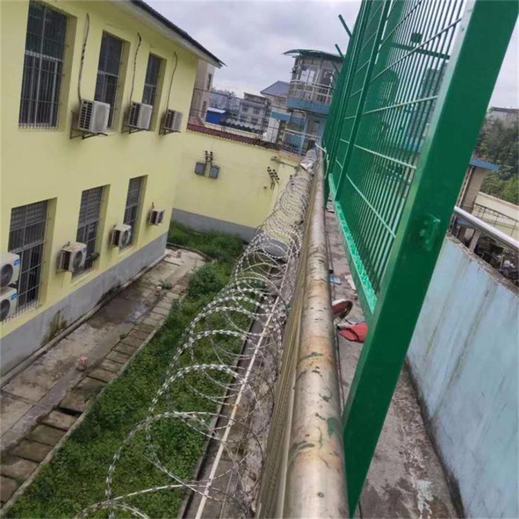 600mm不銹鋼刀刺網圖片4