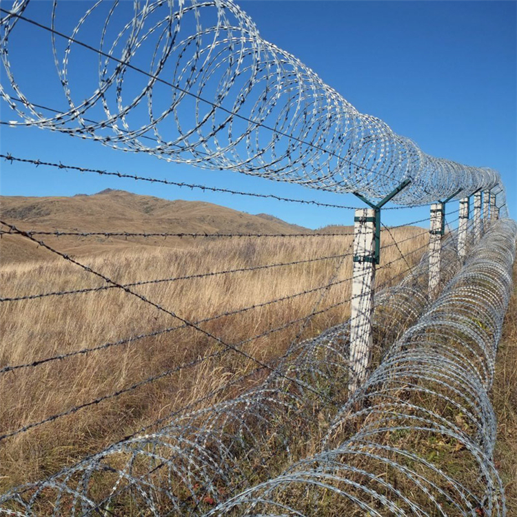 蛇形刀刺網圖片3