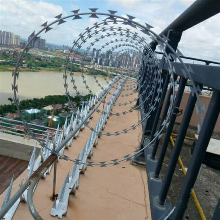 蛇形刀刺網圖片4