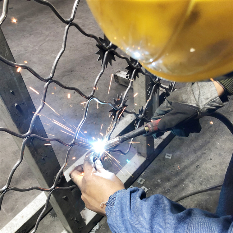 監獄獄墻防攀爬隔離網圖片2