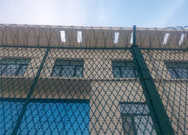 焊接菱形孔刀刺網(wǎng)圖片2 焊接菱形孔刀刺網(wǎng)圖片2