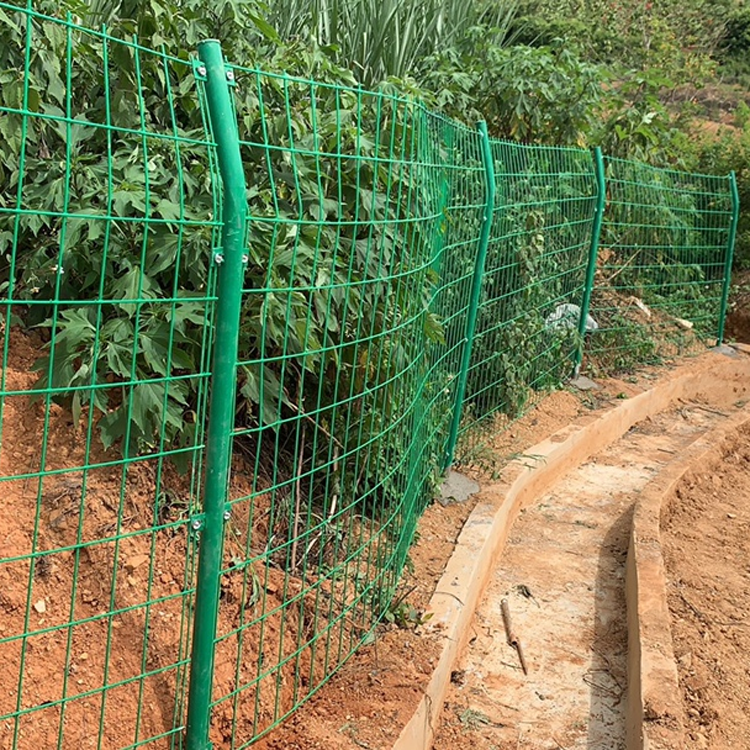 農場鐵絲網圍欄圖片4 農場鐵絲網圍欄圖片4