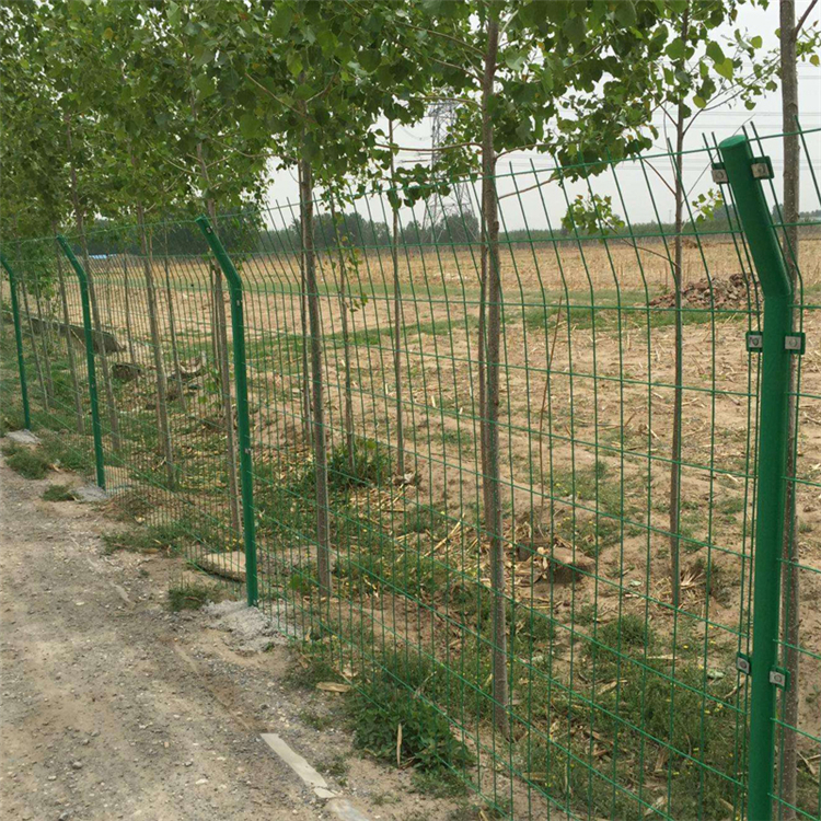 新疆市政綠化護欄網圖片2 新疆市政綠化護欄網圖片2