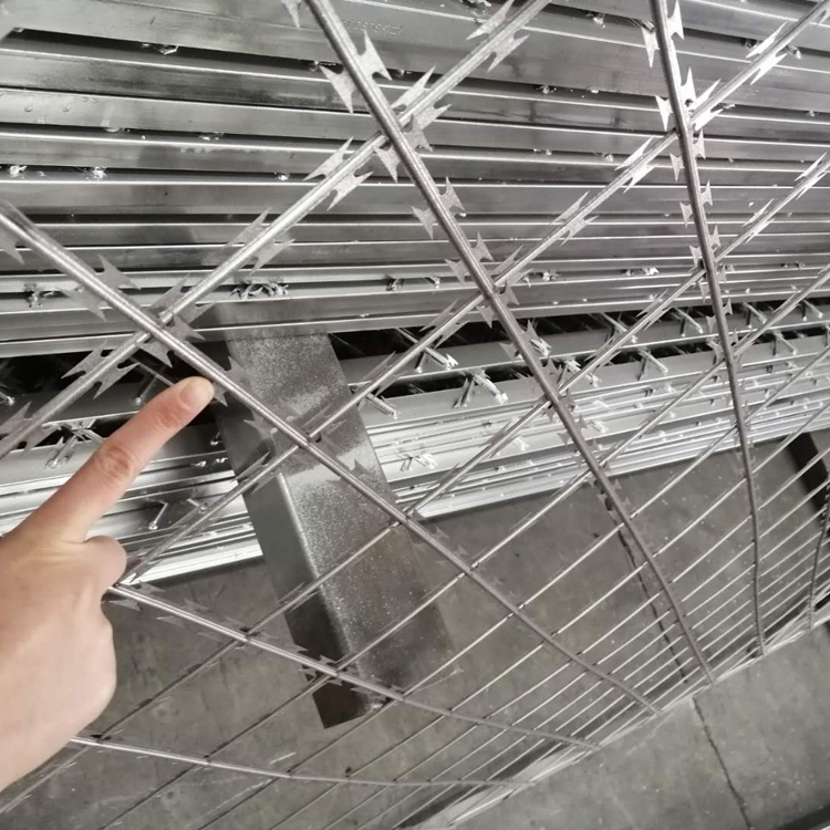 監獄金屬隔離網圖片2 監獄金屬隔離網圖片2