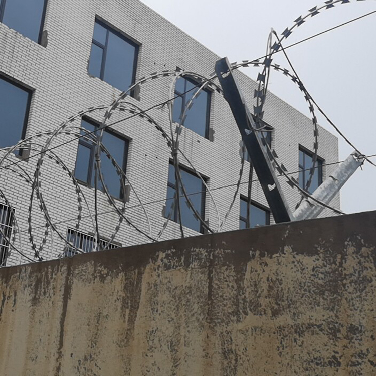 邊境刀片鐵絲網圖片4