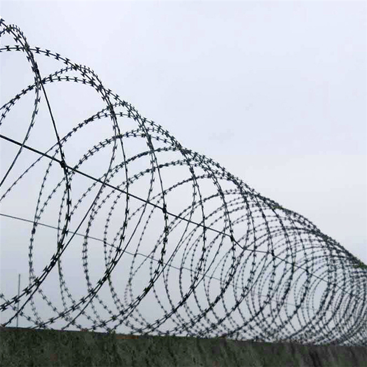 刀片刺網(wǎng)BTO-22圖片3 刀片刺網(wǎng)BTO-22圖片3