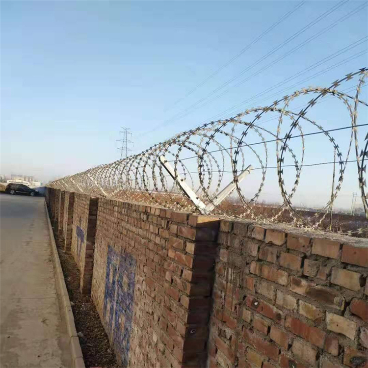 螺旋形刀刺網圖片2