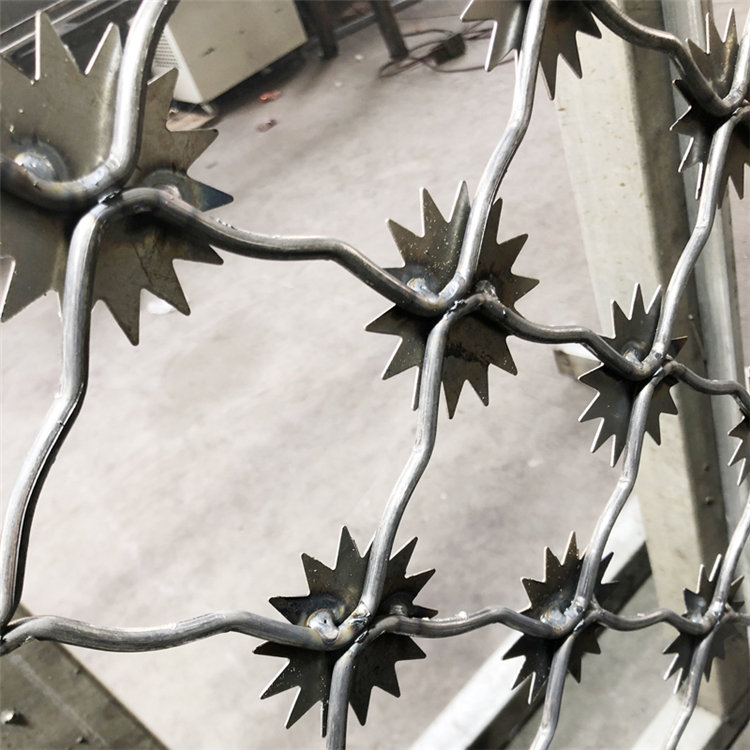 熱鍍鋅梅花刺隔離網圖片4 熱鍍鋅梅花刺隔離網圖片4