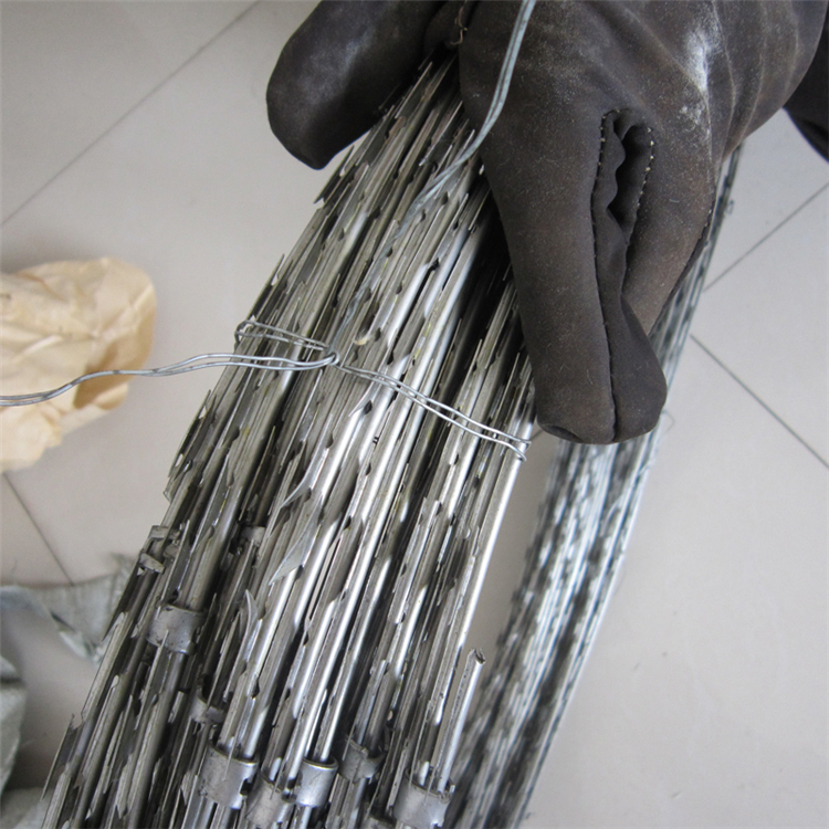 防爬刀刺網圖片4 防爬刀刺網圖片4