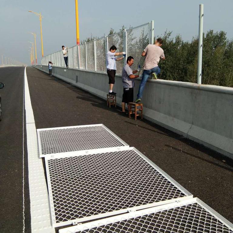 高速公路橋梁防拋物柵欄圖片2