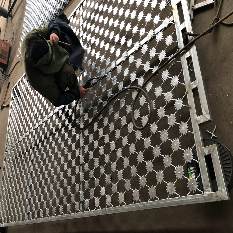 監(jiān)獄熱鍍鋅梅花刺片隔離網(wǎng)生產(chǎn)安裝圖片1 監(jiān)獄熱鍍鋅梅花刺片隔離網(wǎng)生產(chǎn)安裝圖片1