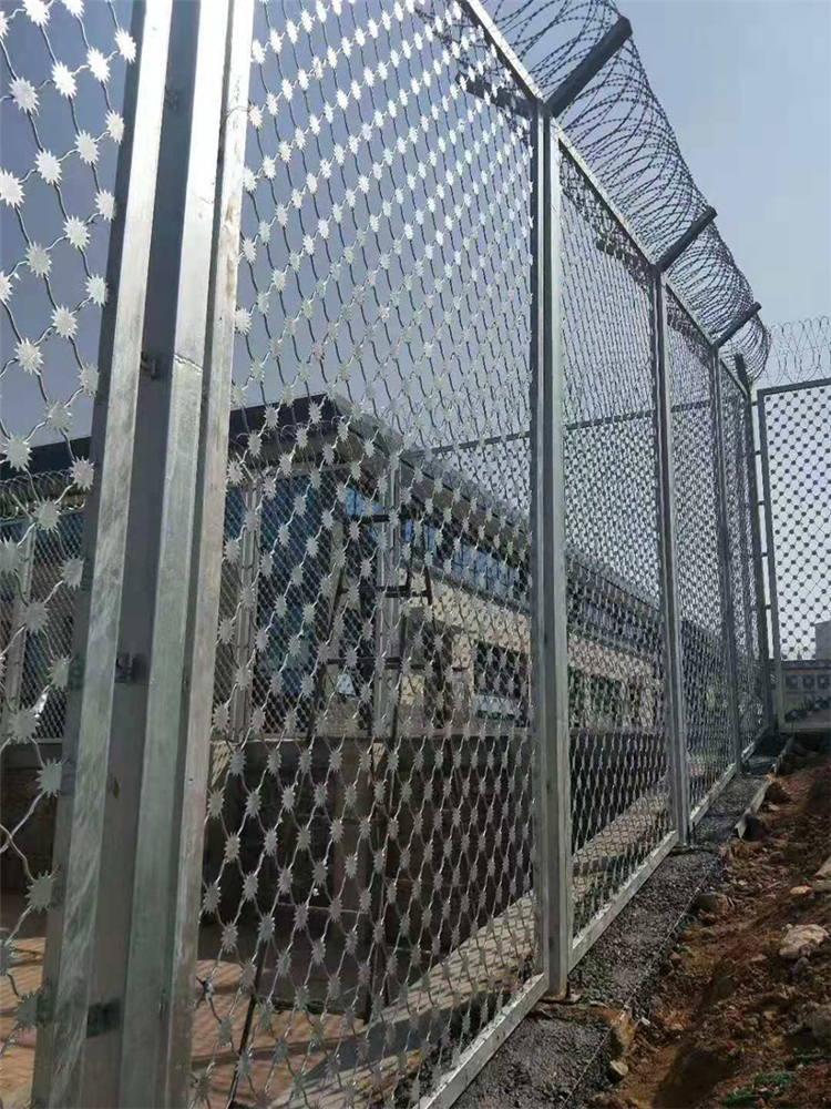 監(jiān)獄熱鍍鋅梅花刺片隔離網(wǎng)生產(chǎn)安裝圖片2 監(jiān)獄熱鍍鋅梅花刺片隔離網(wǎng)生產(chǎn)安裝圖片2
