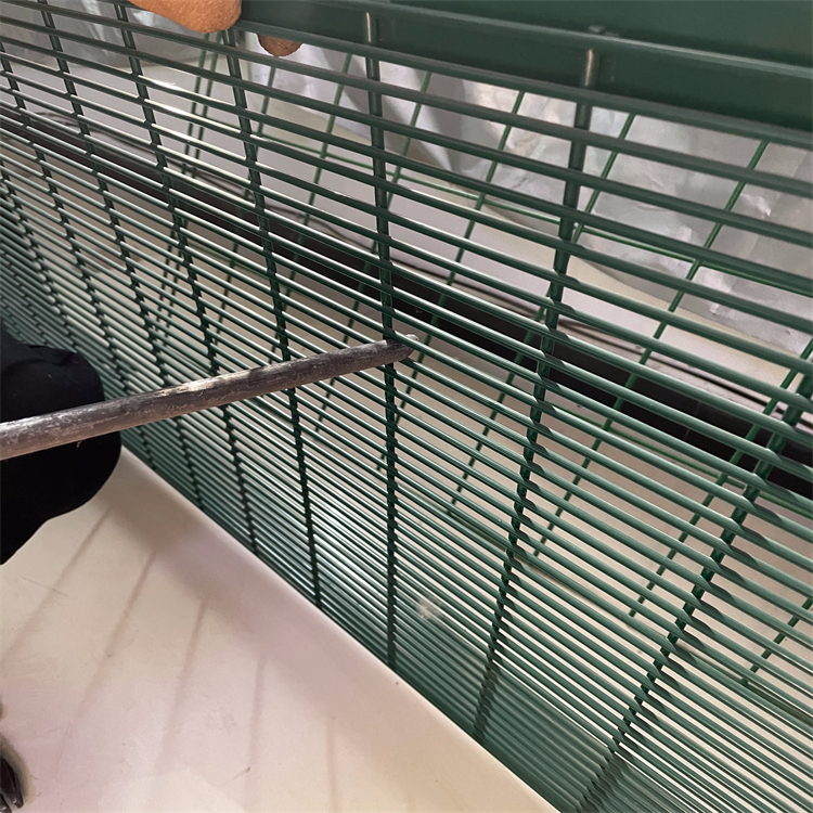 358密紋護欄網應用圖片4 358密紋護欄網應用圖片4