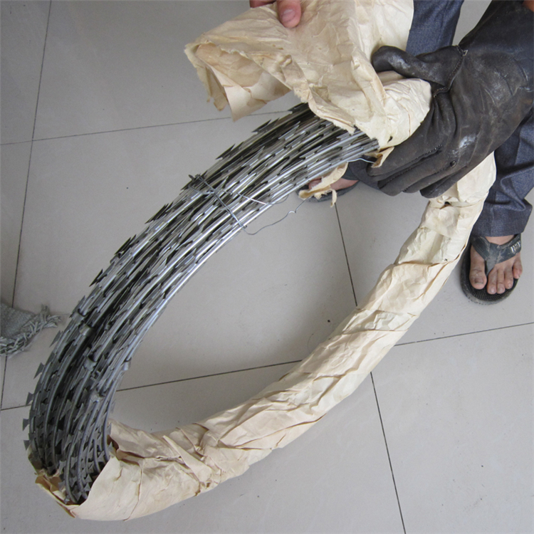 不銹鋼刀刺網Ф500mm現貨圖片6 不銹鋼刀刺網Ф500mm現貨圖片6